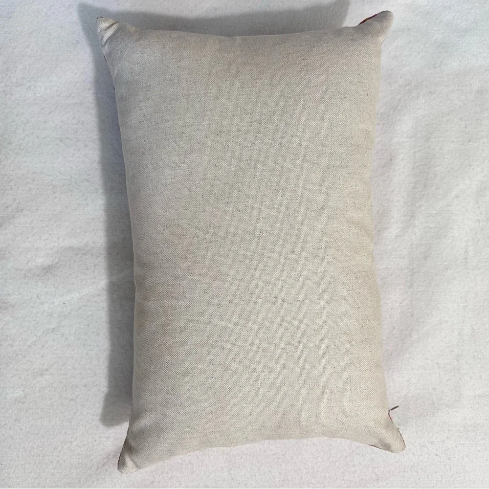 Handwoven silk velvet Ikat cushion, pillow down insert vibrant tribal pattern‌